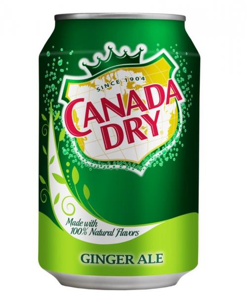 Canada Dry Bière au Gingembre (24 can de 0,33l)